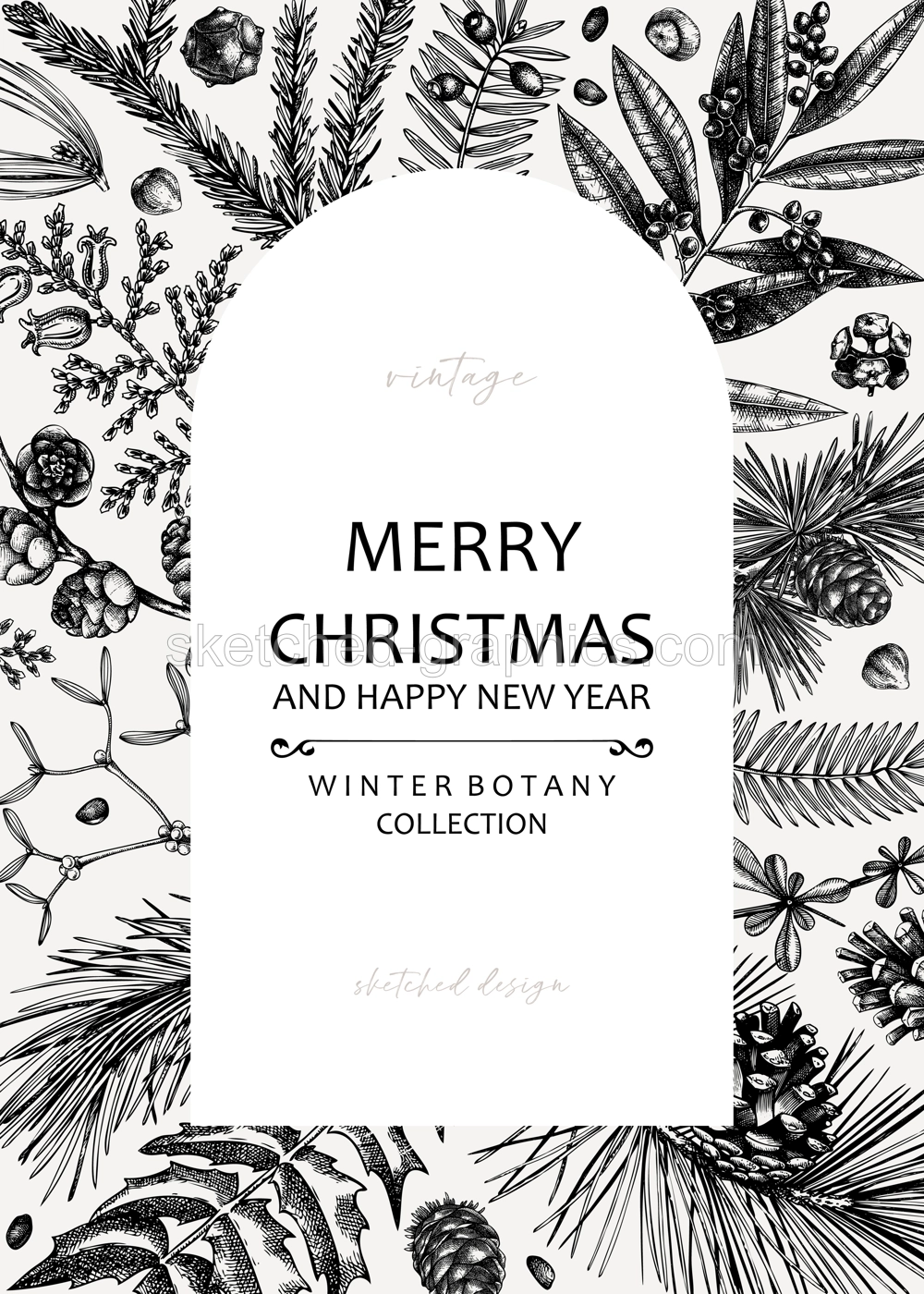Merry Christmas card. Square frame with evergreen plants, conifers, and nuts drawing. Winter design with hand-drawn botanical illustrations. Christmas background, New Year invitation template Illustration
